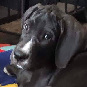 Meet your Posher, Wendy